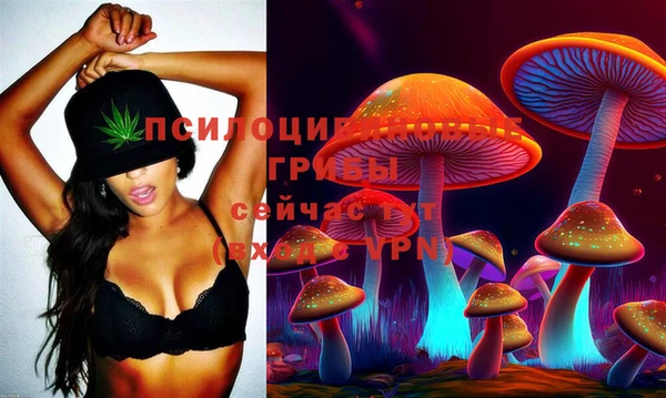 дживик Зеленокумск
