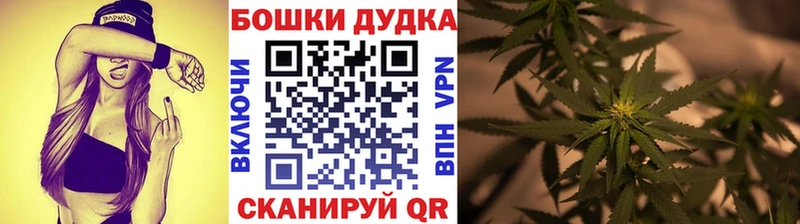 Купить где  Салехард  Бошки марихуана Amnesia 